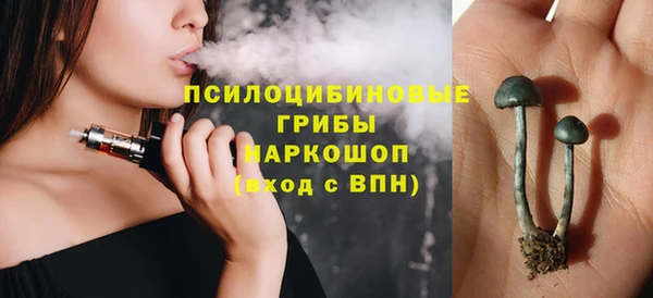 спиды Алексеевка