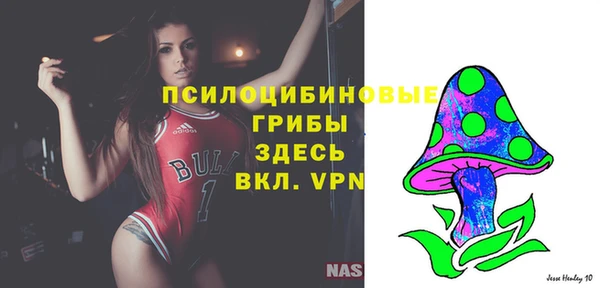 ешки Алзамай