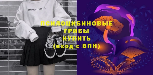 спиды Алексеевка