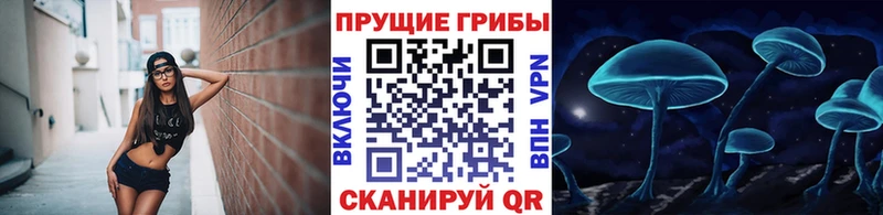 KRAKEN ссылка  купить закладку  Миасс  Псилоцибиновые грибы мицелий 